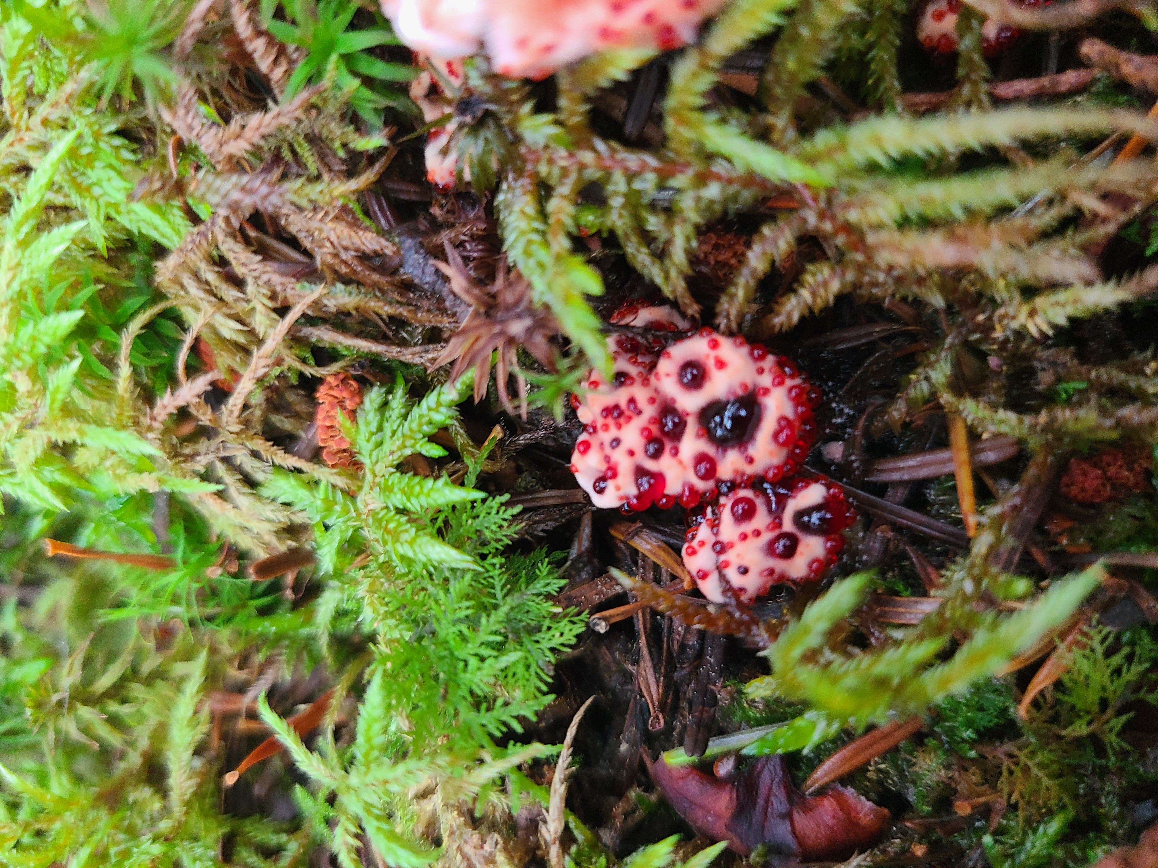 Field photo August 2023