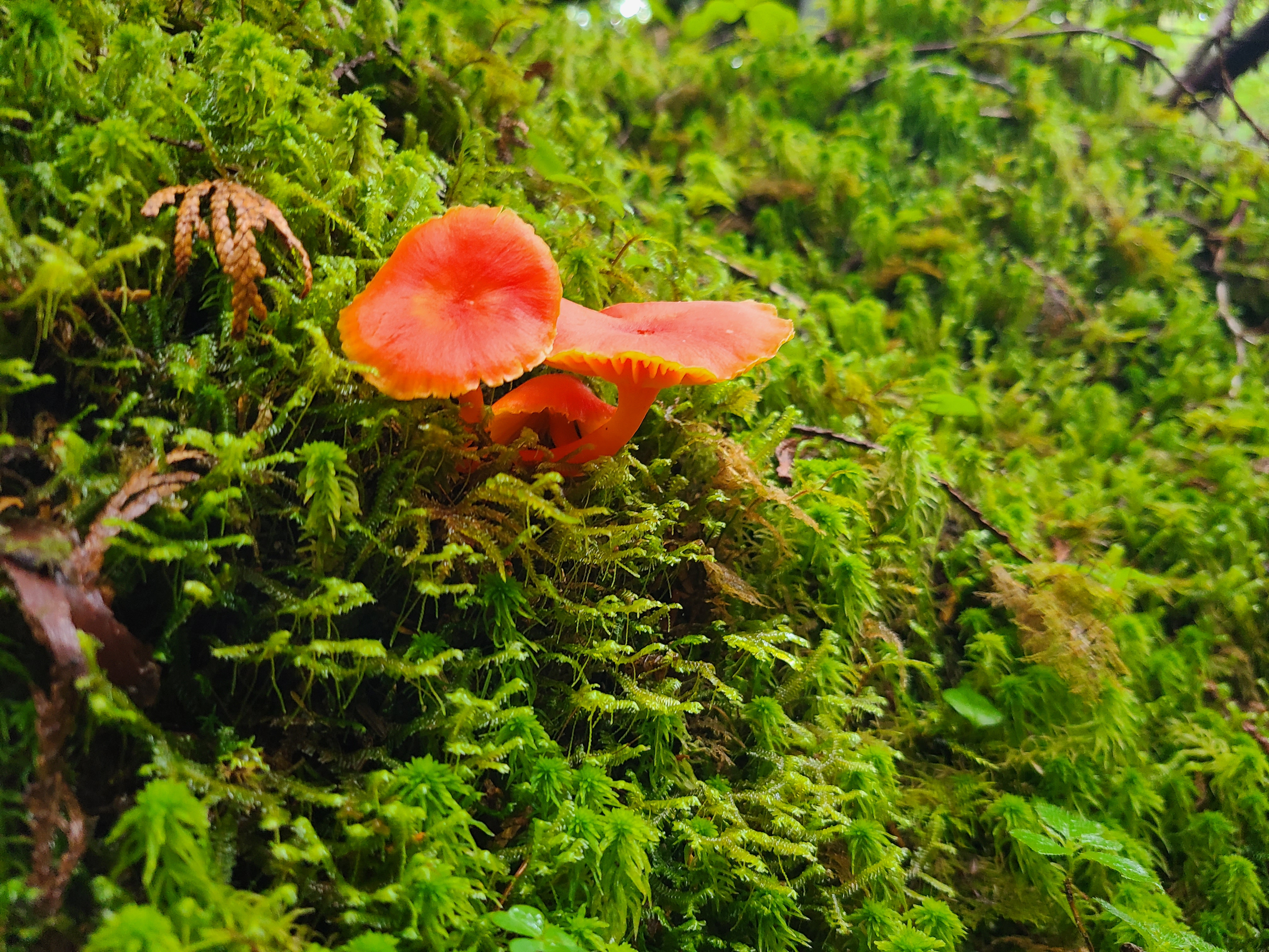 Field photo August 2023
