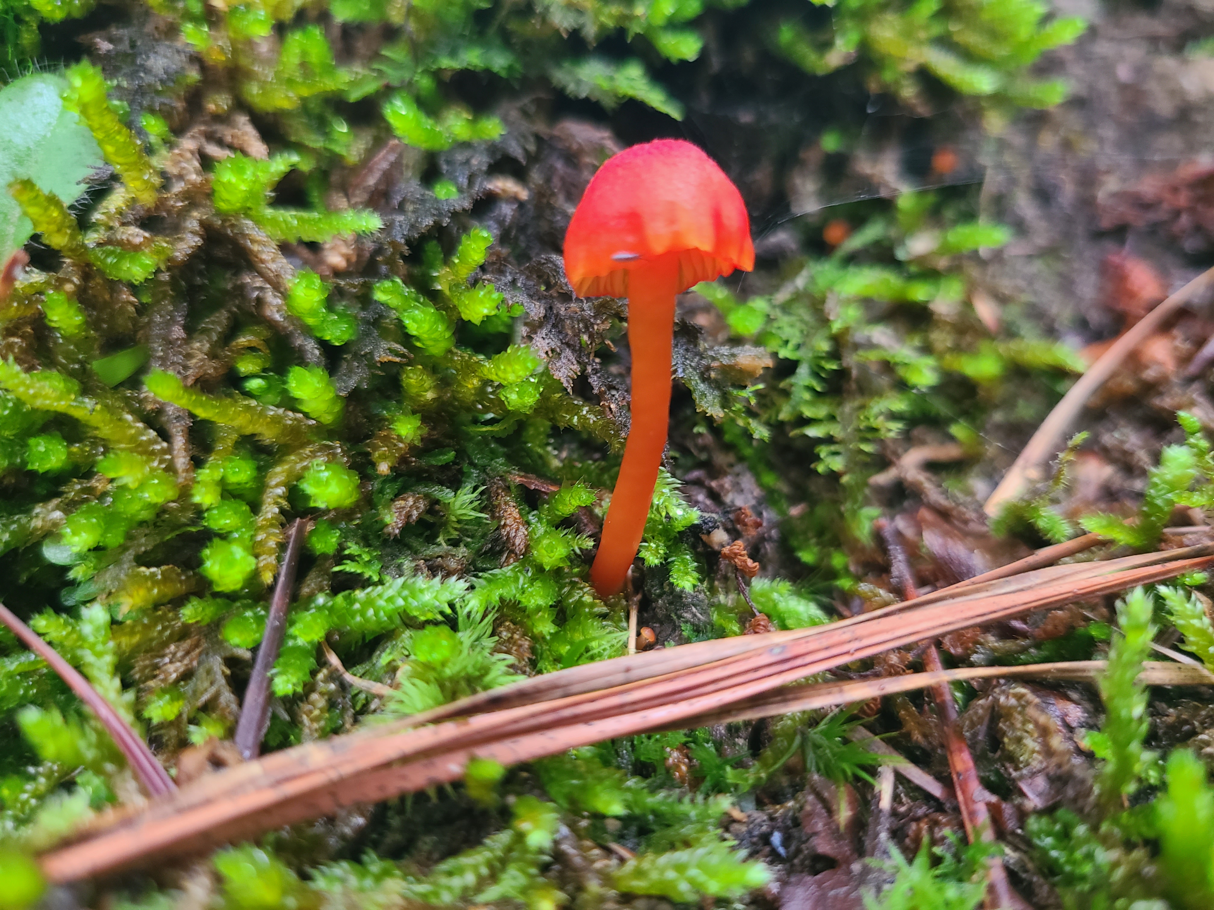 Field photo May 2024