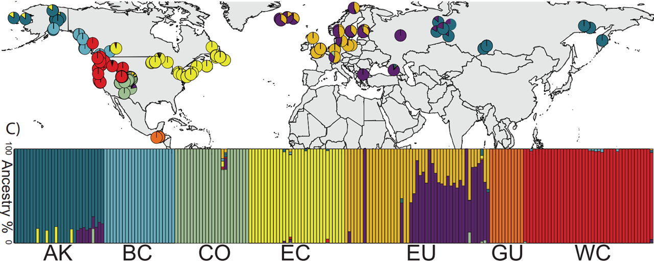 Population admixture analysis